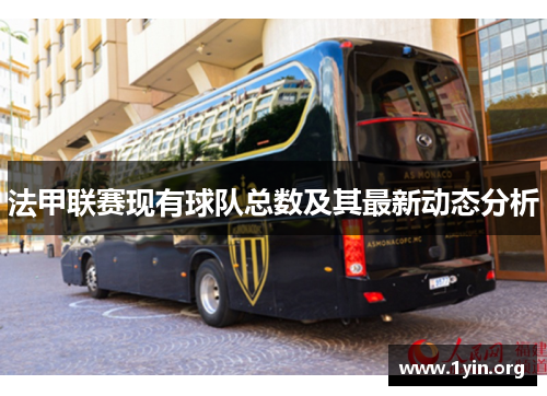法甲联赛现有球队总数及其最新动态分析